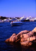 day boat rentals